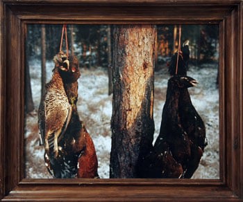 Savukoski, 1994, 32.28 x 39.37 inch Chromogenic Print, edition of 20