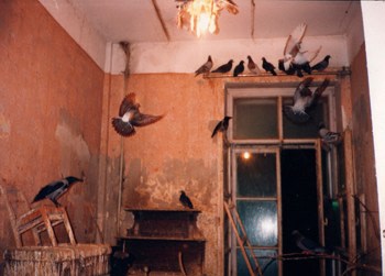 Bertien van Manen, &quot;St. Petersberg (Birds in Room),&quot; 1991, Chromogenic print, 16 x 20 inches, Edition of 10