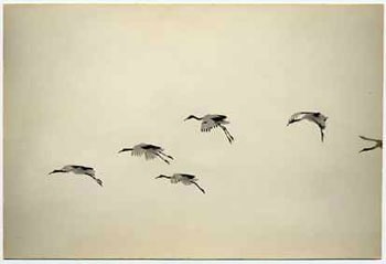 Yamamoto Masao,&nbsp;Untitled #1171, 2004,&nbsp;from the series&nbsp;A Box of Ku.&nbsp;Gelatin silver print with mixed media, 4 1/2 x 6 1/2 inches.