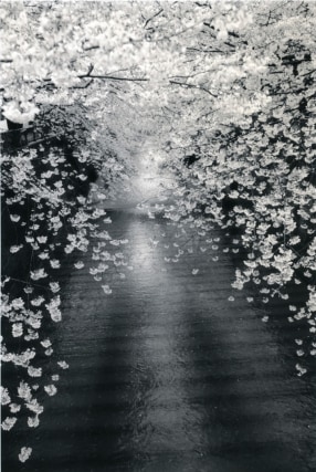 Yamamoto Masao,&nbsp;Untitled #1534, 2008,&nbsp;from the series&nbsp;Kawa=Flow.&nbsp;Gelatin silver print with mixed media,&nbsp;10 1/4 x 6 3/4 inches.