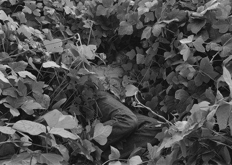 Mark Steinmetz,&nbsp;Reuben, Athens, GA (man in kudzu),&nbsp;1995.&nbsp;Gelatin silver print, 20 x 24 inches.&nbsp;