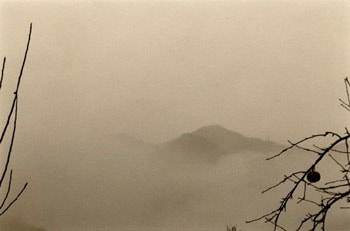 Untitled #1519 from Kawa = Flow), 2008, 5.25 x 8 inch Gelatin Silver Print, Signed, titled, dated, editioned and stamped on verso, Edition of 20