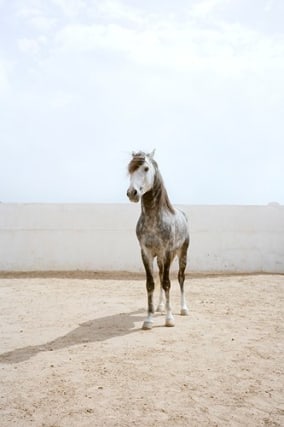 Untitled, 2011 Frame: 19 x 14.75 inches / Image: 10.5 x 7 inches Archival pigment print Edition of 8