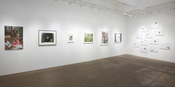 Installation view, &quot;Beautiful Vagabonds: Birds in Contemporary Photography, Sound and Video,&quot; Yancey Richardson Gallery, July 21- August 26, 2011