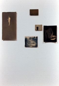 Masao Yamamoto