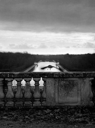 Mark Steinmetz, &quot;Corbeau, Parc de Sceaux,&quot; 2008, Gelatin Silver print, 20 x 16 inches, Edition of 9