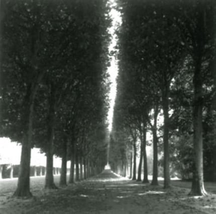 Versailles, France (4-99-3-2), 1999,&nbsp;19 x 19,&nbsp;28 x 28,&nbsp;or 38 x 38 inch&nbsp;archival pigment print