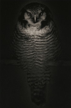 &quot;Untitled #1575,&quot; 2009, Gelatin Silver print, 9.5 x 6.25 inches, ed. of 20