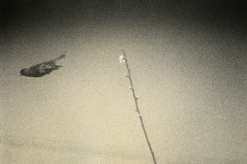 Masao Yamamoto, &quot;Untitled #1610,&quot; from the series &quot;Kawa=Flow,&quot; 2011, Gelatin Silver print, 6 1/2 x 9 1/2 inches, Edition of 20