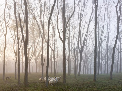 Andrew Moore,&nbsp;Jill&#039;s Place, Hudson Valley,&nbsp;2021. Archival pigment print, 63 3/4 x 48 inches.