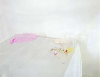 Untitled #5 (From To Say it Isn&#039;t So), 2007, 19.24 x 25 inch Chromogenic Print, Signed, titled, dated and editioned on label on verso, Edition of 9