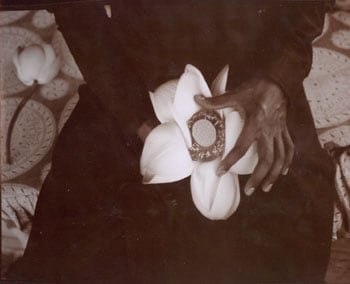 Lotus, Kashmir, India, 1985