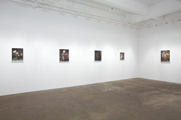 Installation View Yancey Richardson Gallery 