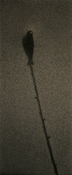 Masao Yamamoto, &quot;Untitled #1601,&quot; from the series &quot;Kawa=Flow,&quot; 2010, Gelatin Silver print, 11 1/4 x 4 3/4 inches, Edition of 20