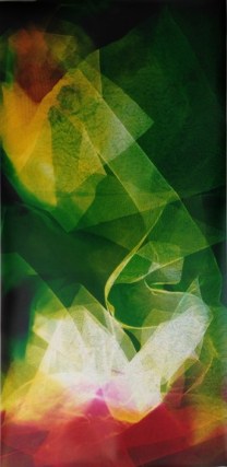 Bryan Graf,&nbsp;Lattice (Ambient) Shadowboxin III, 2014. Chromogenic photogram,&nbsp;61 1/2 x 30 inches.