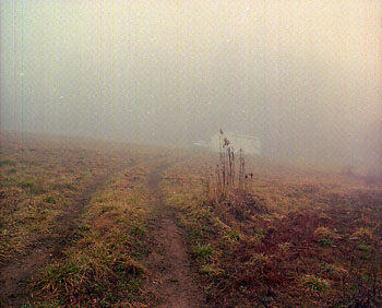 Flag Pond, TN (02-26-15L), 2002