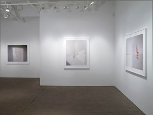 Laura Letinsky,Ill Form &amp;amp; Void Full, Installation View