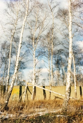 Jitka Hanzlov&aacute;, Untitled (North/South), from the series Here, 1998, C-print, 12 x 8 inches, Edition of 8