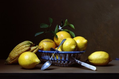 Early American, Lemons, 2007. Chromogenic print,&nbsp;14 3/4&nbsp;x 18 1/4&nbsp;inches.