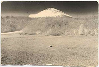 Masao Yamamoto, Untitled #278, from the series A Box of Ku. 4 x 6 inch Gelatin Silver print. Edition of 40.