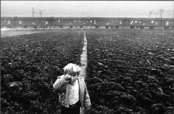 Ivankovo, Croatia, 1994 Gelatin silver print, 20 x 24 inches