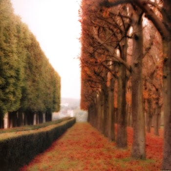 &quot;Parc de Sceaux, France, 2008&quot;  [10-08-9c-9], 19 x 19 inch / 28 x 28 inch Chromogenic Print; Edition of 15 / 38 x 38 inch Chromogenic Print; Edition of 6