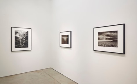 Installation view.