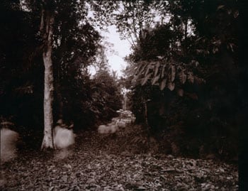 Procession, Bali, 1997