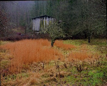 Tilson Mountain, North Carolina (02-018-28R), 2002