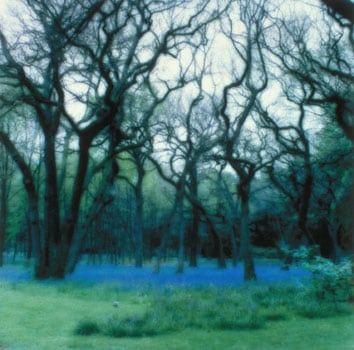 Parc de Bagatelle, Paris, 1995