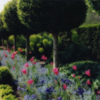 Parc de Sceaux, France, 2004 (4-04-67c-7), 19 x 19 and 28 x 28 inch Chromogenic print, Edition of 15 per size