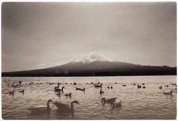 Masao Yamamoto, Untitled #1228, from the series Nakazora. 4.25 x 6.25 inch Gelatin Silver print. Edition of 40.