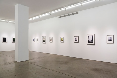 Installation view.