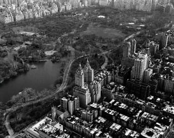 Marilyn Bridges