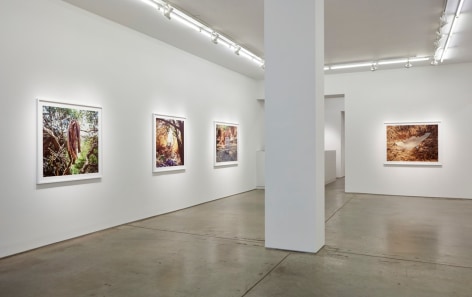 Anthony Hernandez, installation view.