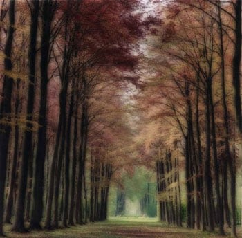 Beloeil, Belgium, 2004  (4-04-26c-9), 19 x 19 and 28 x 28 inch Chromogenic print, Edition of 15 per size