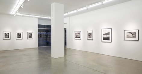 Installation view.