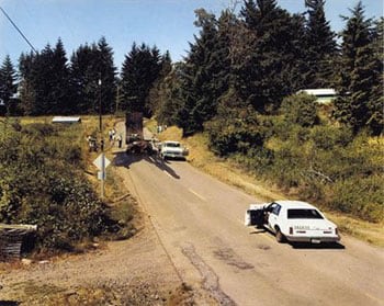 Joel Sternfeld, Exhausted Renegade Elephant, Woodland, Washington, June 1979, Printed 1981, 16 x 20 inch Ektacolor print, Signed, titled and dated on verso