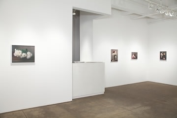 Installation View Yancey Richardson Gallery 