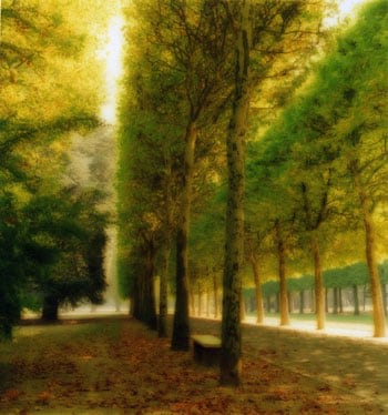 Parc de Sceaux, France, 1997 (10-97-7c-10), 19 x 19 and 28 x 28 inch Chromogenic print, Edition of 15 per size