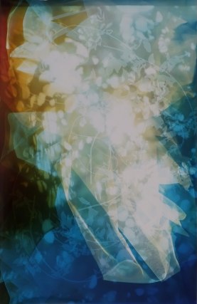 Bryan Graf,&nbsp;Sun Room Canopy Debris I, 2016. Chromogenic photogram, 61 x 40 inches.