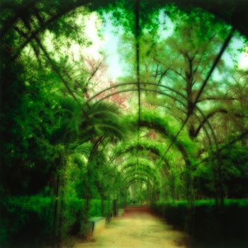 Maria Luisa Park, Seville, 2002