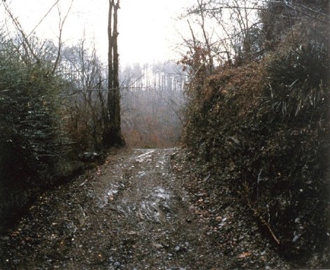 Rasnick Hollow, TN, 1999 Ektacolor print 20 x 24 inches