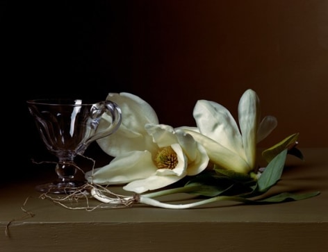 Sharon Core,&nbsp;Early American, Magnolia and Wild Leeks, 2008. Chromogenic print,&nbsp;14 x 17 inches.