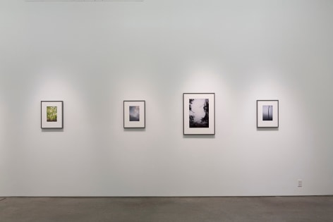 Installation view.