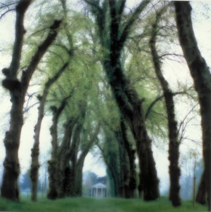 Parc de Canon, near Caen, France (5-95-48c-10), 1995,&nbsp;19 x 19,&nbsp;28 x 28,&nbsp;or 38 x 38 inch&nbsp;archival pigment print