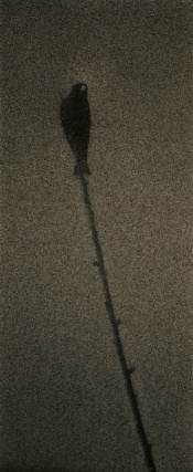 Yamamoto Masao,&nbsp;Untitled #1601, 2010,&nbsp;from the series&nbsp;Kawa=Flow. Gelatin silver print with mixed media, 11 1/4 x 4 3/4 inches.