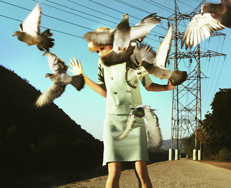 Alex Prager