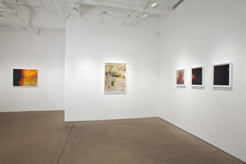 Exhibition installation- Bryan Graf, &quot;Field Recordings,&quot; June 9- July 15, 2011