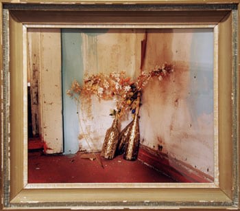 Rauha, 22.05 x 25.2 inch Chromogenic Print, edition of 20